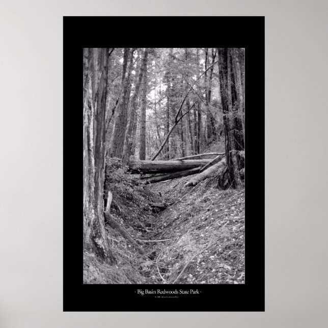 Poster Parc d'état de Big Basin Redwoods (Devant)