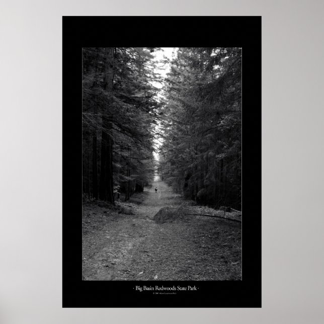 Poster Parc d'état de Big Basin Redwoods (Devant)