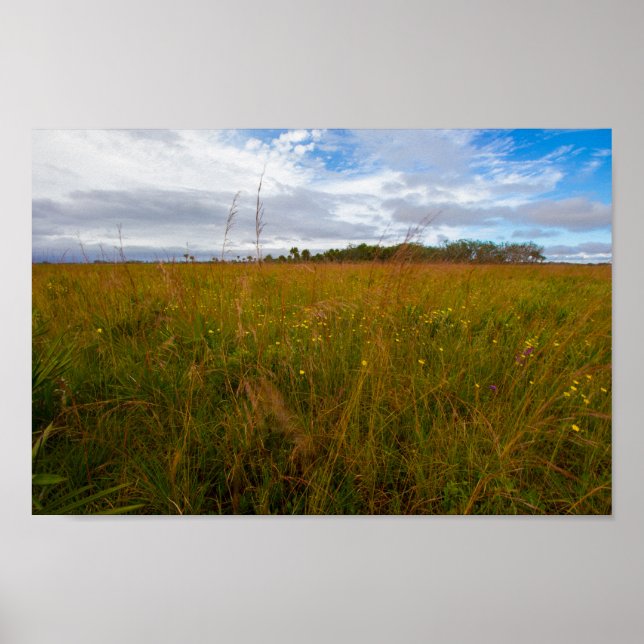 Poster Parc d'état de la réserve de prairie de Kissimmee, (Devant)