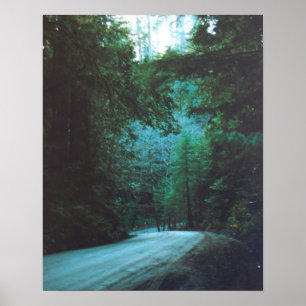 Poster Parc d'état de séquoias de Jedediah Smith, CA