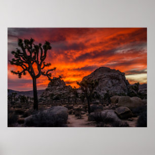 Poster Parc national de Joshua Tree Coucher de soleil rou