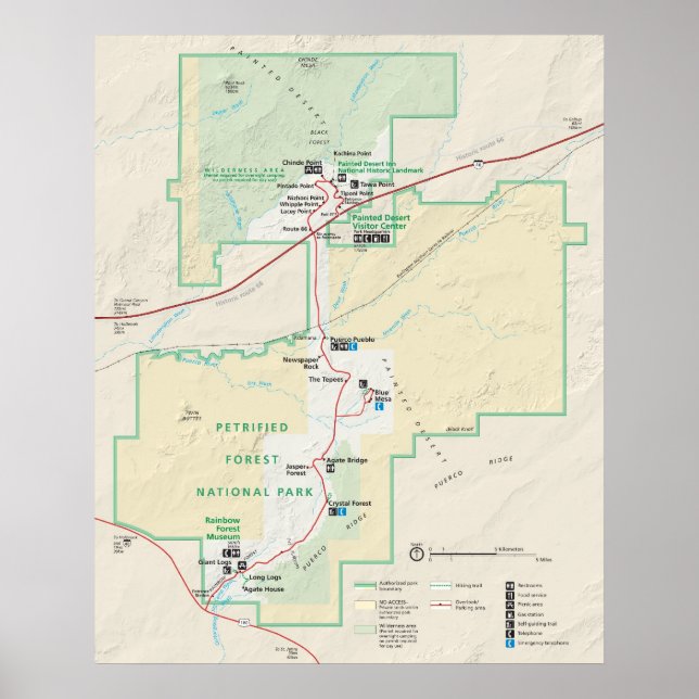 Poster Parc national de la Forêt Petrifiée (Devant)