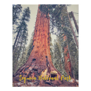 Poster Parc national de Sequoia