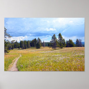 Poster Parc national de Yellowstone - sentier des prairie