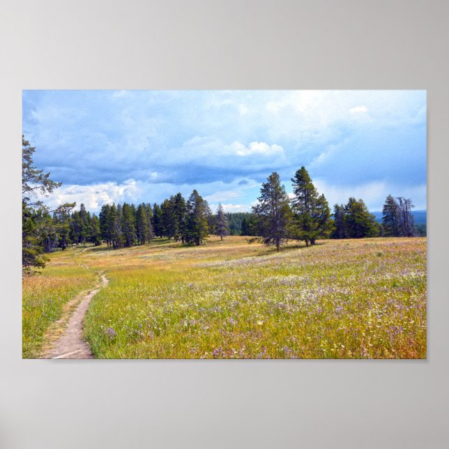 Poster Parc national de Yellowstone - sentier des prairie (Devant)