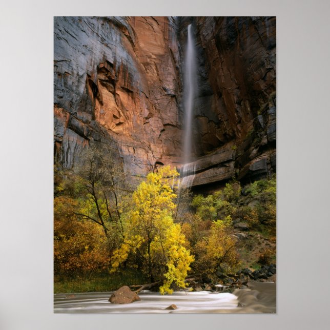 Poster Parc national de Zion, Utah. États-Unis Éphémère (Devant)