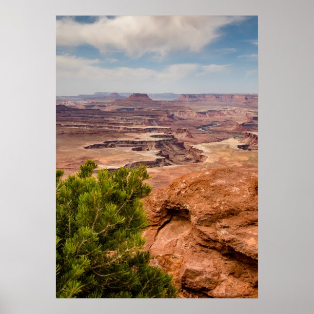 Poster Parc national des Canyonlands (Devant)