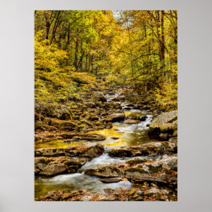 Poster Parc national des Great Smoky Mountains. Big Creek