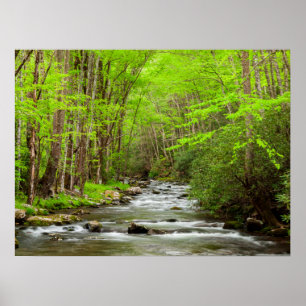 Poster Parc national des Great Smoky Mountains Caroline d