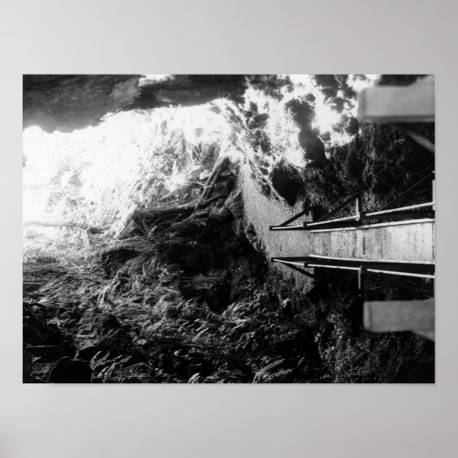 Poster Parc national d'Hawaii, Vue d'un tube de lave (Devant)