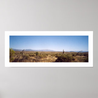 Poster Parc national McDowell