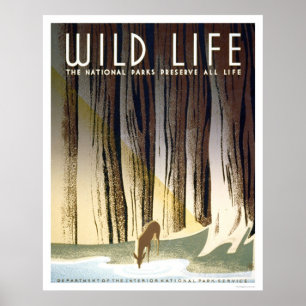 Poster Parc national Wild Life 1940 WPA