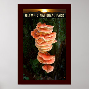 Poster PARC NATUREL OLMPIQUE-Poulet des Bois-