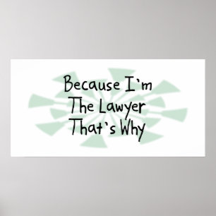 Poster Parce que je suis l'avocat