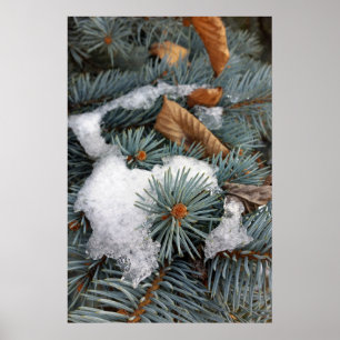 Poster parcelle de neige