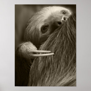 Poster paresse à deux doigts