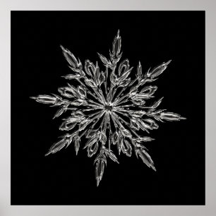 Poster Parfait flocon de neige pour Noël