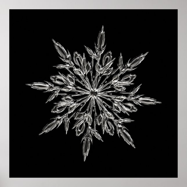 Poster Parfait flocon de neige pour Noël (Devant)