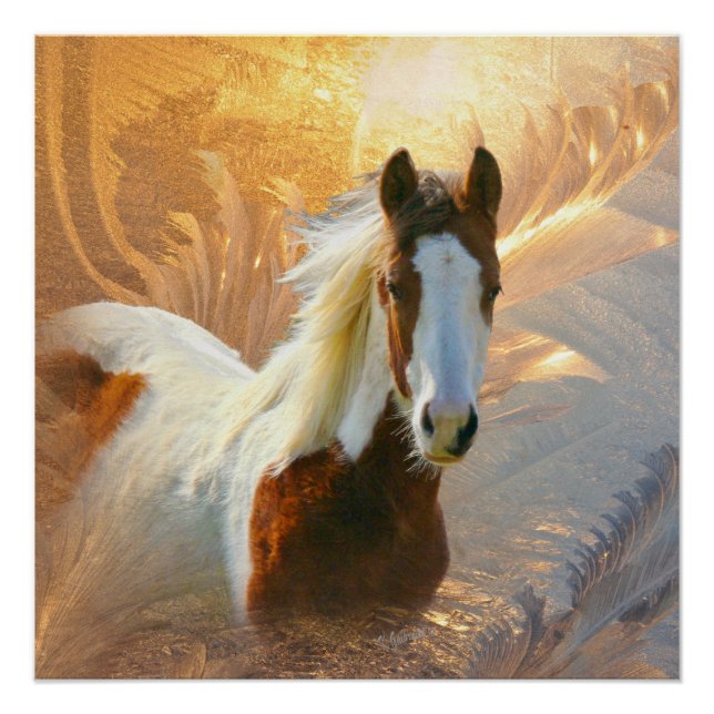 Poster parfait Paint Horse Gold (Devant)
