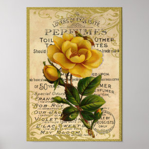 Poster Parfum antique de roses jaunes