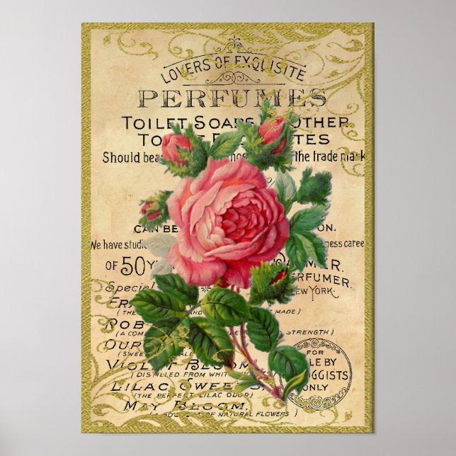 Poster Parfum de roses antiques (Devant)