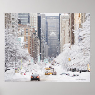 Poster Park Avenue