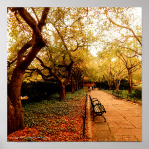 Poster Park, NYC Central Park,