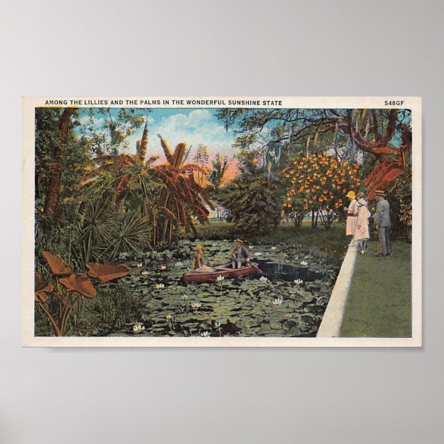 Poster Parmi les lillies et palmiers de Floride (Devant)