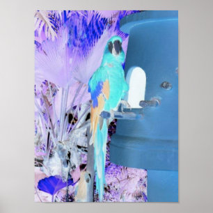 Poster Parrot Pop Art