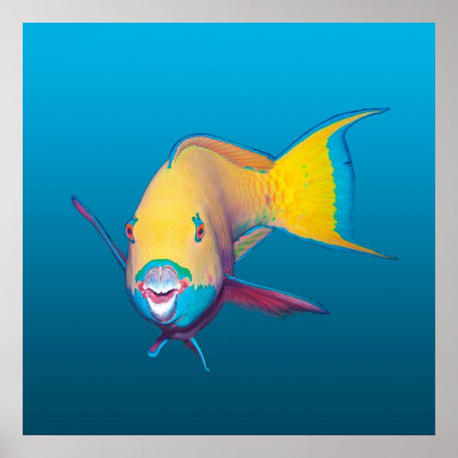 Poster Parrotfish Close-up! Gradient blue background |  (Devant)
