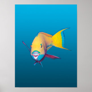 Poster Parrotfish Close-up! Gradient blue background | 