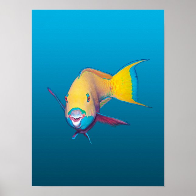Poster Parrotfish Close-up! Gradient blue background |  (Devant)