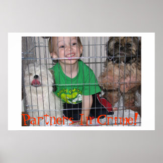 Poster Partenaires Dans Le Crime !