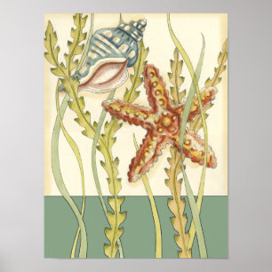 Poster Partie Shell multicolore