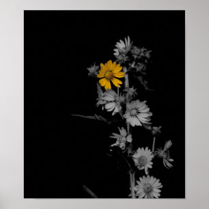 Poster partiellement coloré noir et blanc