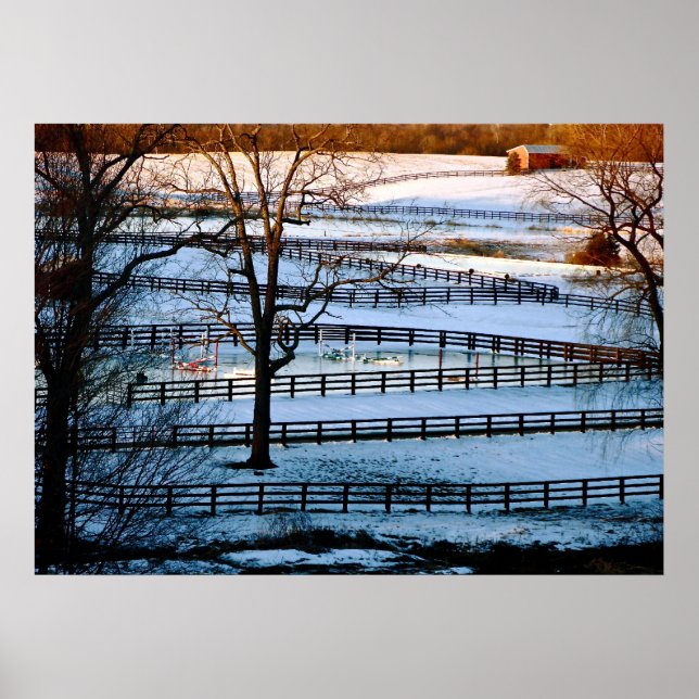 Poster Partition (Devant)