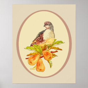 Poster Partridge in a Pear Tree Christmas Song Citation