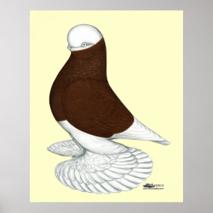 Poster Paruline : Balde rouge bouffée