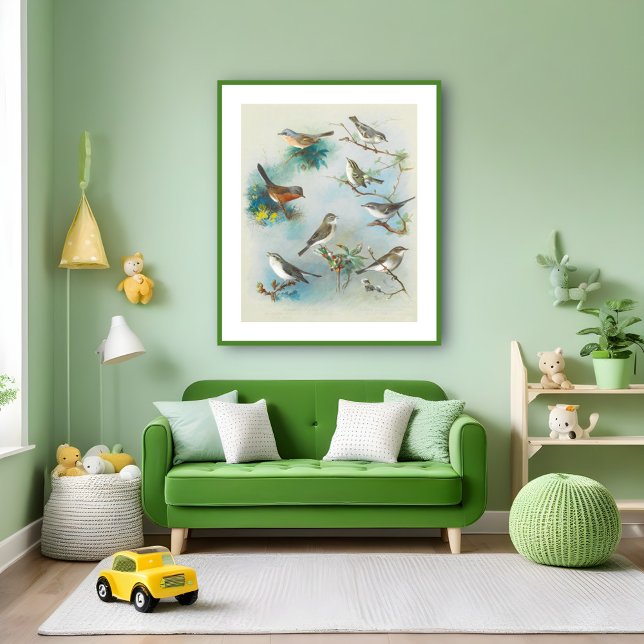 Poster Paruline et Wrens, (Créateur téléchargé)
