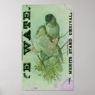 Poster Paruline Vintage