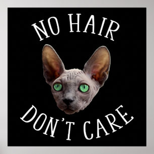 Poster Pas de cheveux s'en fiche Funny Sphynx Chat