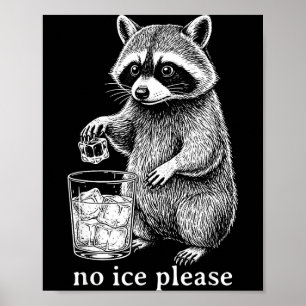 Poster Pas de glace s'il vous plaît Mème de raton laveur 