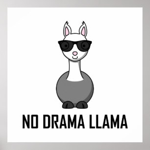 Poster Pas de lunettes de soleil Drama Llama