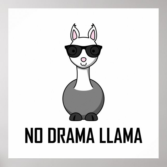 Poster Pas de lunettes de soleil Drama Llama (Devant)