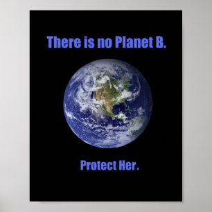 Poster Pas de planète B