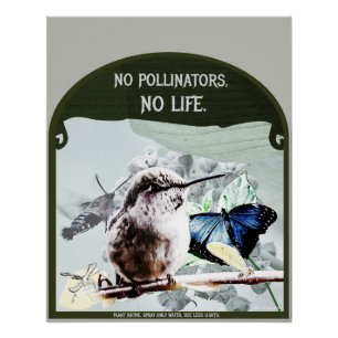 Poster Pas de pollinisateurs, pas de vie