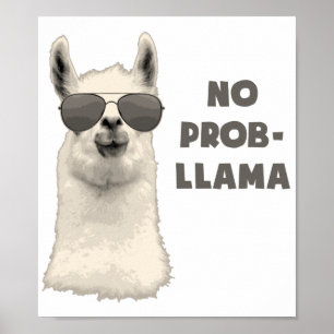 Poster Pas de problème Llama