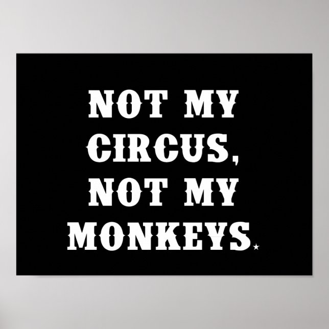 Poster Pas mon cirque, pas mes singes (Devant)