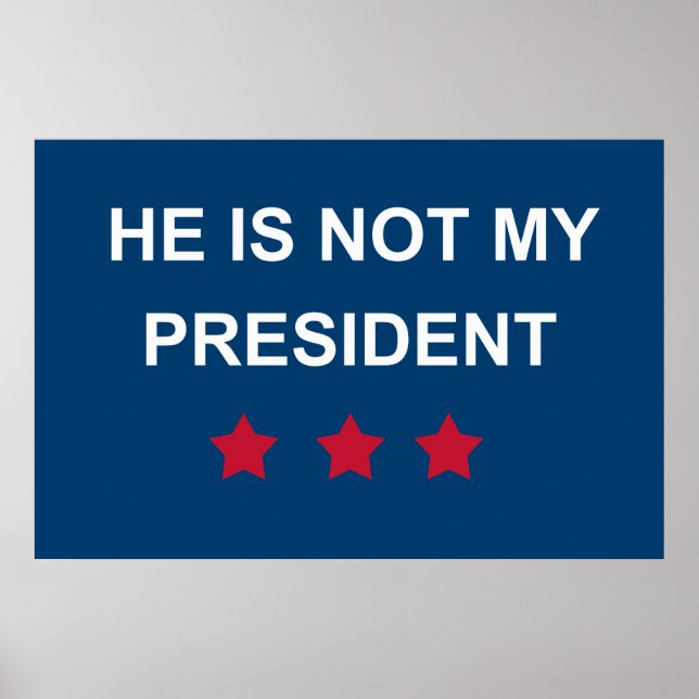 Poster Pas mon président (Devant)