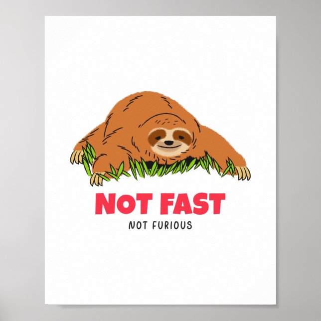 Poster Pas rapide pas furieux (Devant)